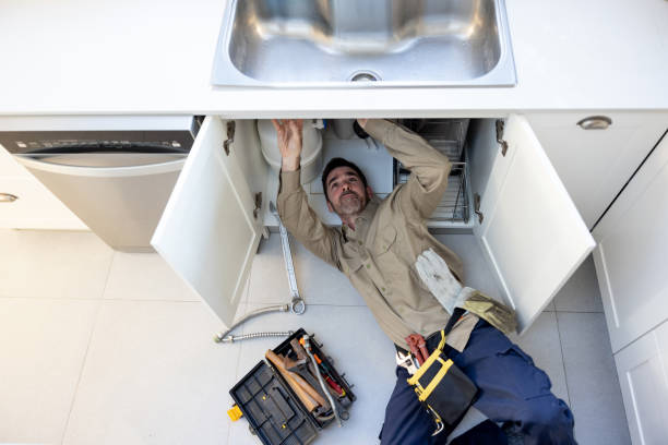 Best Plumbing Services Near Me  in St Bonifacius, MN