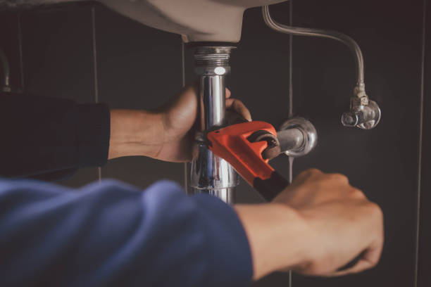 Best Plumbing Repair Near Me  in St Bonifacius, MN