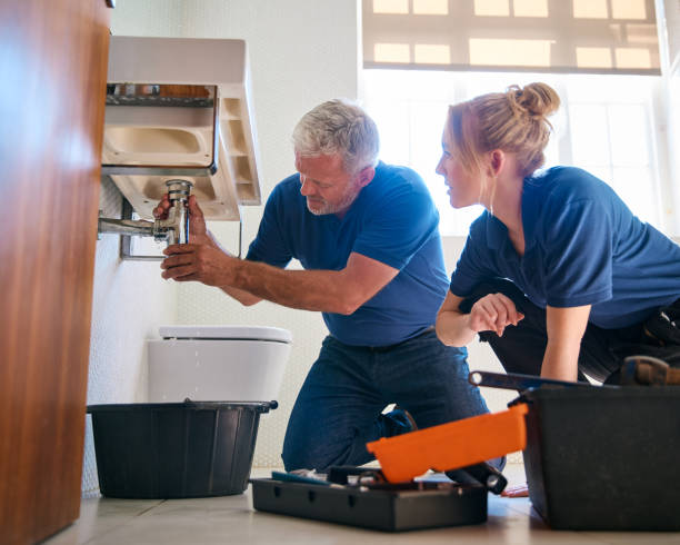 Best Sewer Line Repair  in St Bonifacius, MN